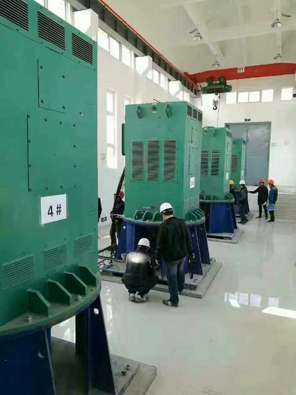 Y500-8A某污水处理厂使用我厂的立式高压电机安装现场生产厂家